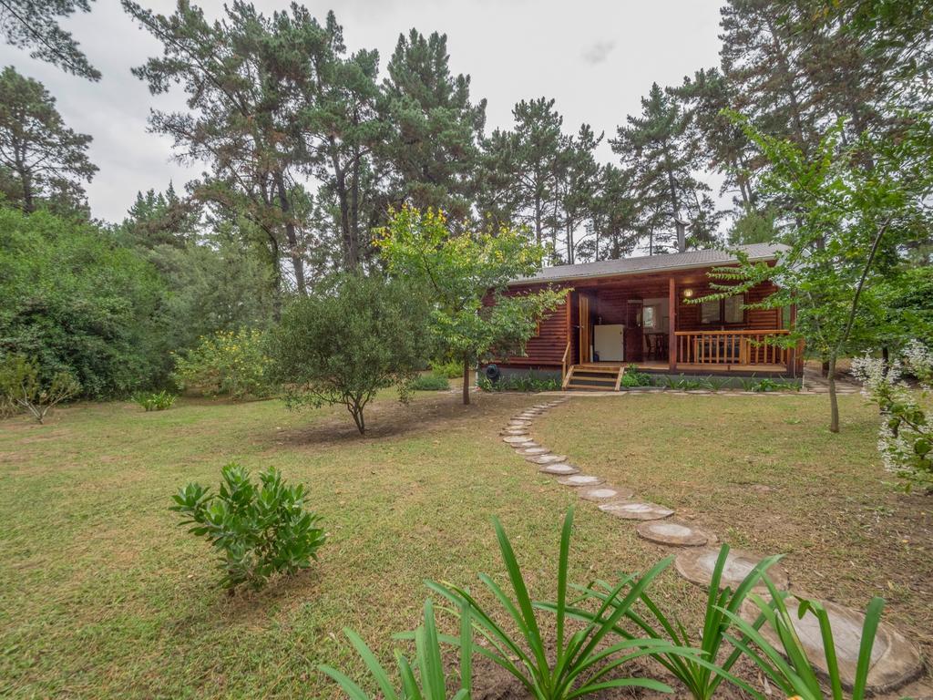 Eagles' Call Cottages And Tent 윌더니스 외부 사진