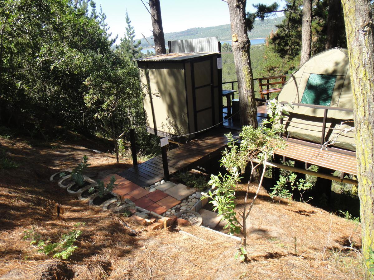 Eagles' Call Cottages And Tent 윌더니스 외부 사진