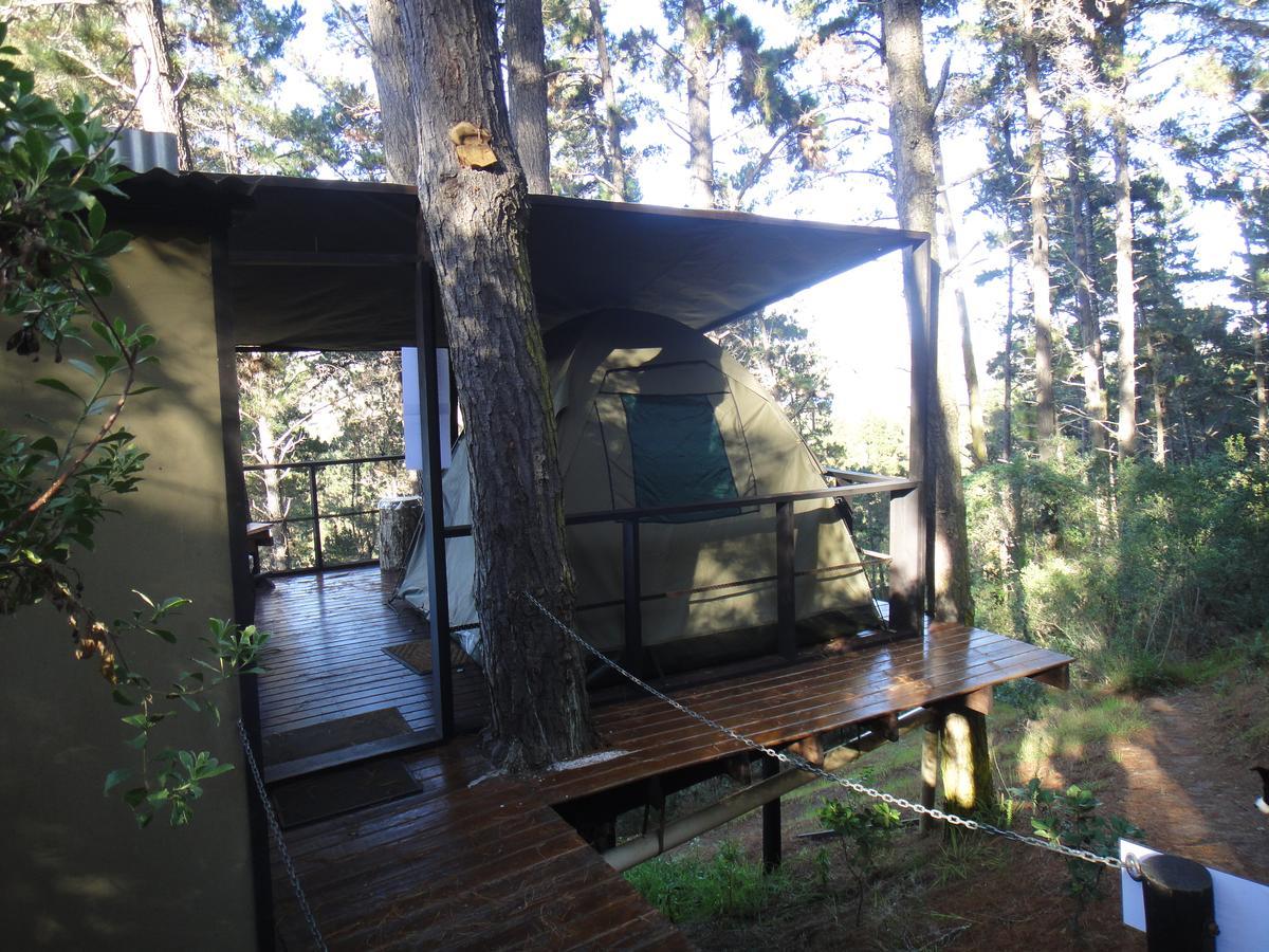 Eagles' Call Cottages And Tent 윌더니스 외부 사진