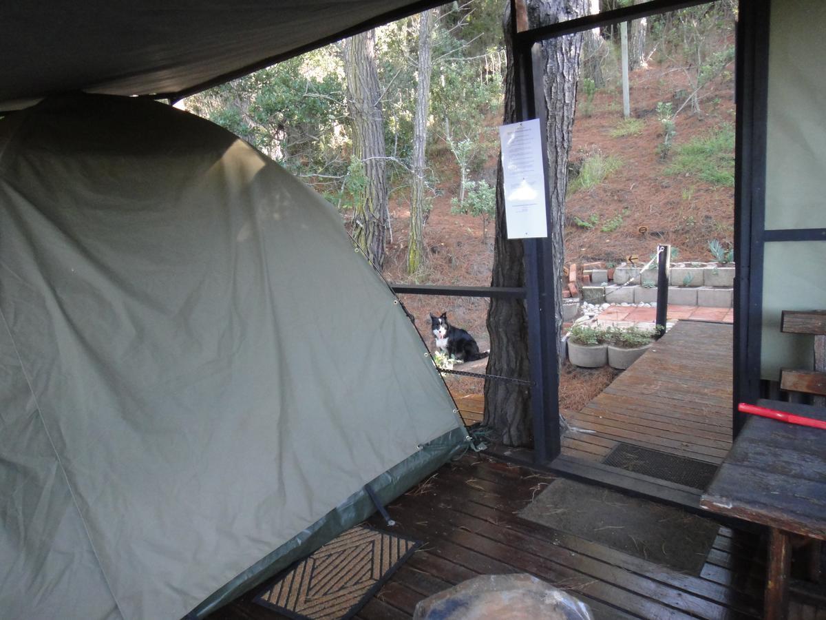 Eagles' Call Cottages And Tent 윌더니스 외부 사진
