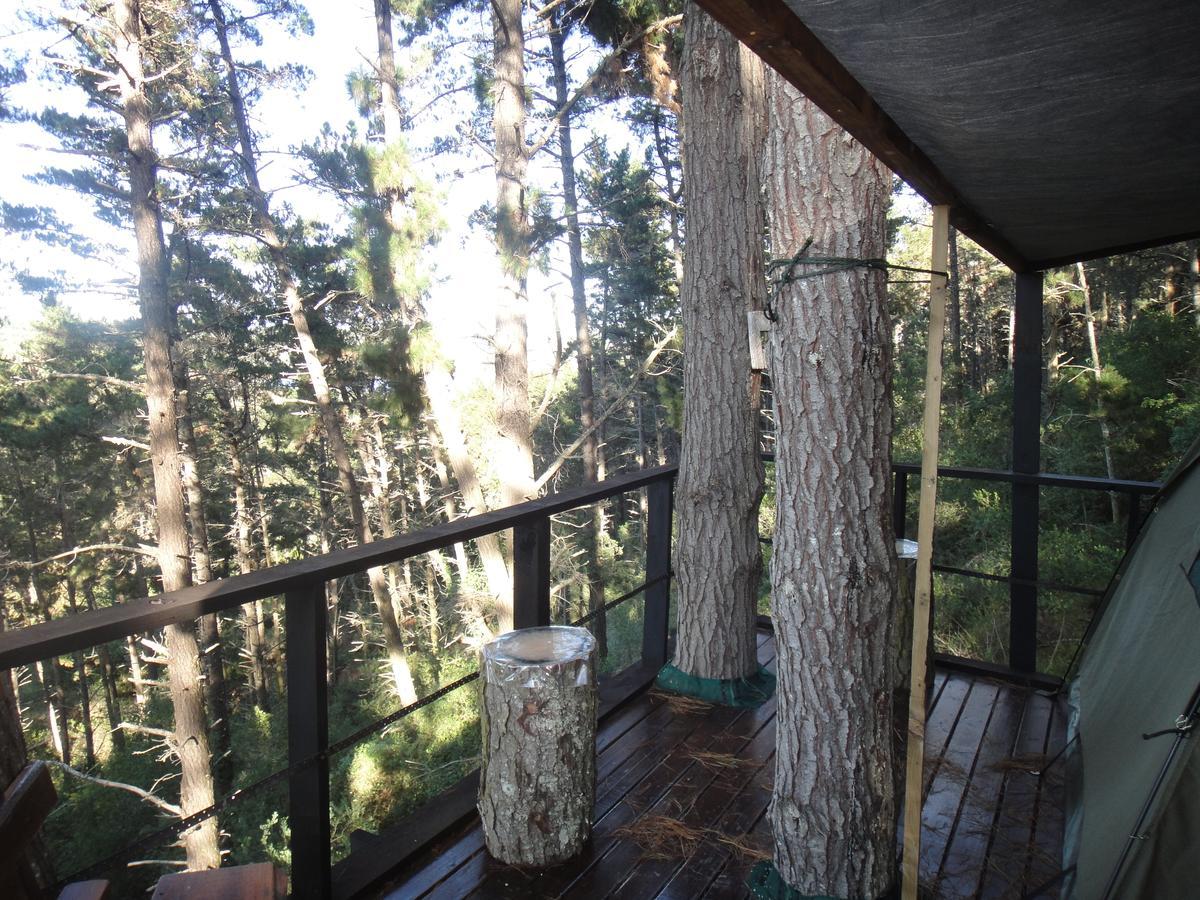 Eagles' Call Cottages And Tent 윌더니스 외부 사진
